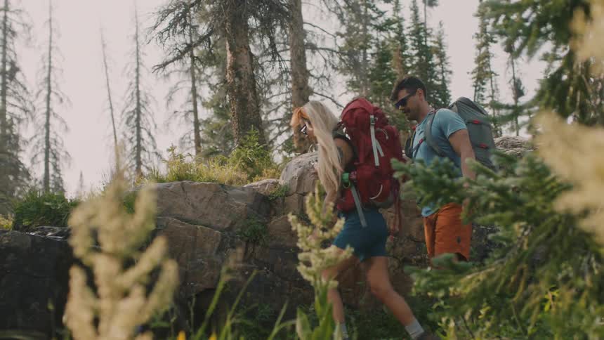 Couple and a dog coming across a tiny waterfall near a rock on a hiking trail