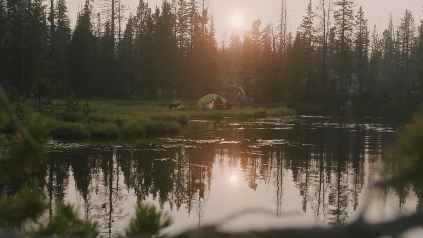 A dog runs around people by their tent