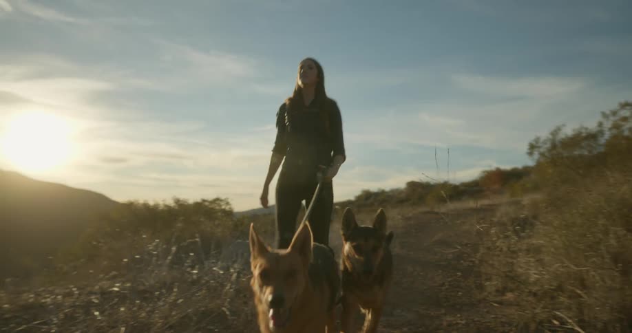 A woman is walking her dogs on the trail