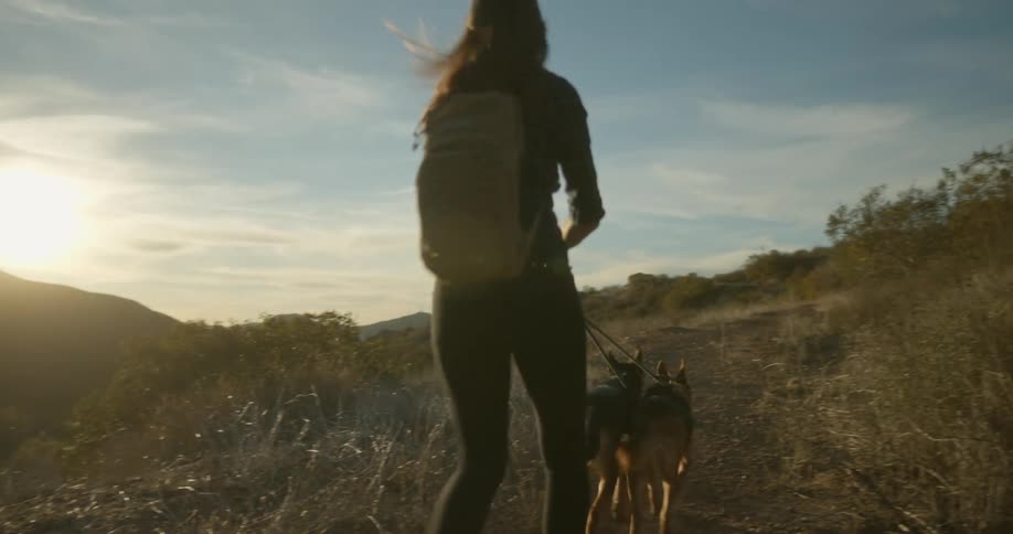 Woman walking a couple dogs on a trail through the hills at sunset