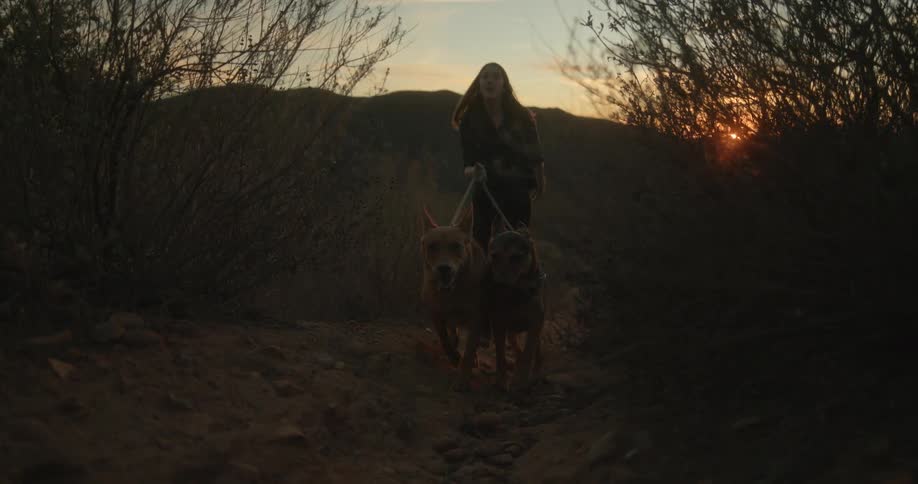 Young woman walking dogs on a trail in the desert at sunset