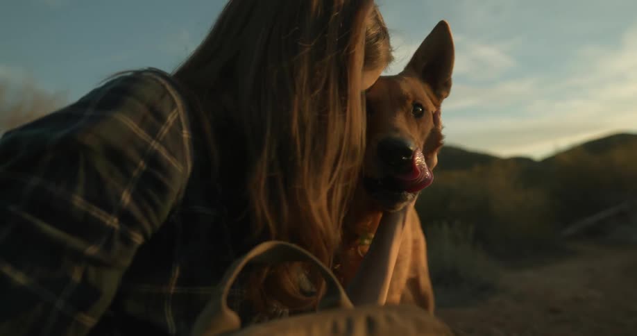 Woman with brown hair and blue plaid shirt pets and kisses dog in the field