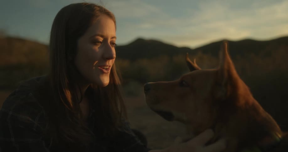 Woman with brown straight hair and shirt pets two dogs at dusk in the field