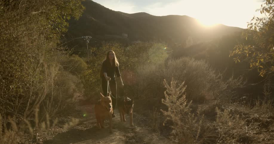 Woman hiking up a dirt trail with her dogs in the mountains