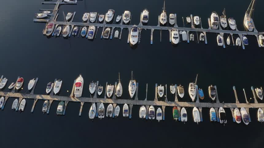 Multiple boats are parked at the dock on a body of water