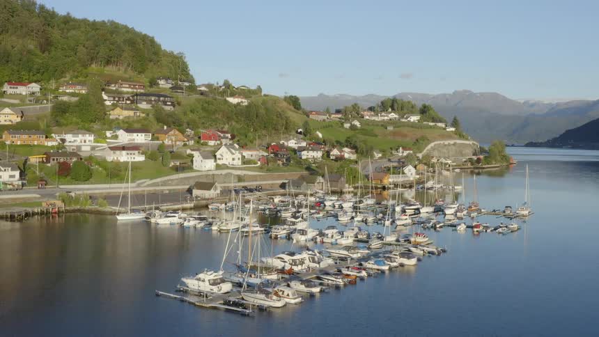 Boats parked in marina