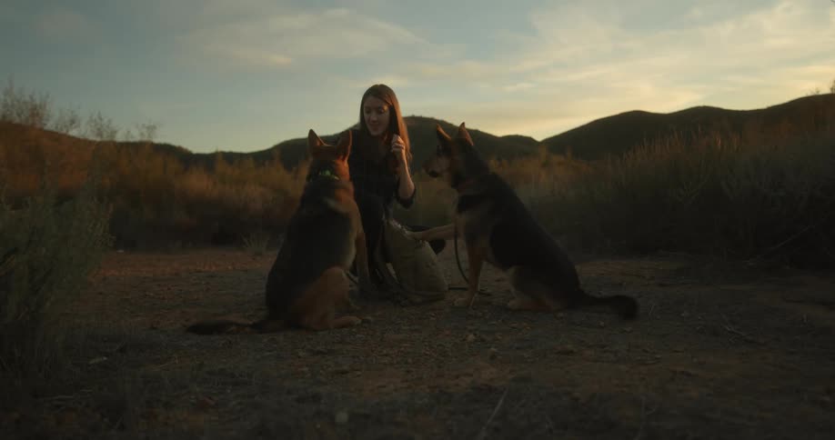 Woman provides treat to her dogs as she trains them in a bare patch in field with mountains in the background