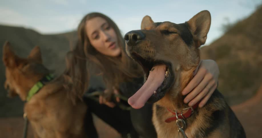 A woman is petting her dogs outdoors at sunset