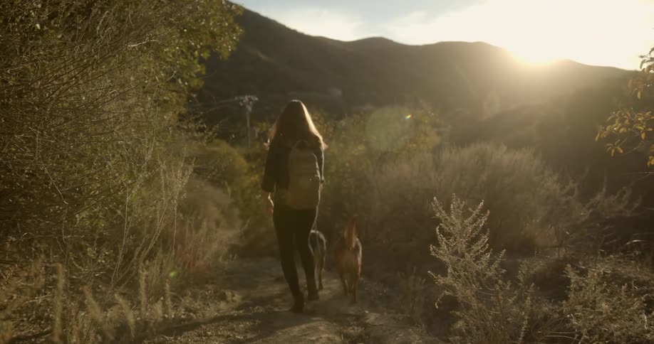 A woman hikes on the trail with her two dogs