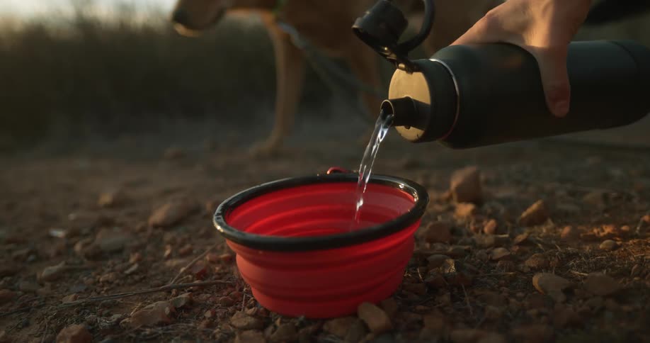 A man pours water into a collapsible bowl for his dog while on a hike