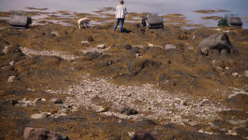 A woman stands on the shore with her dog watching a boat in the water and a man sits behind her on a rock on the shore