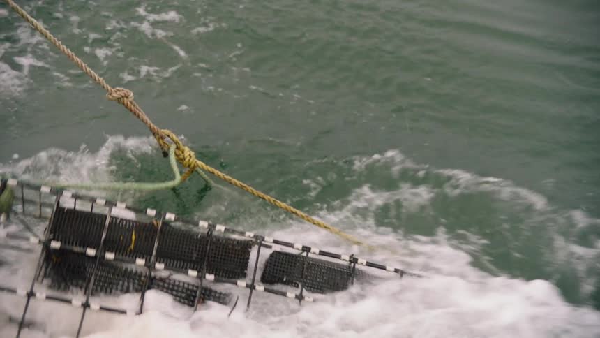 Close up of a lobster trap thrown on a lake by a fisherman