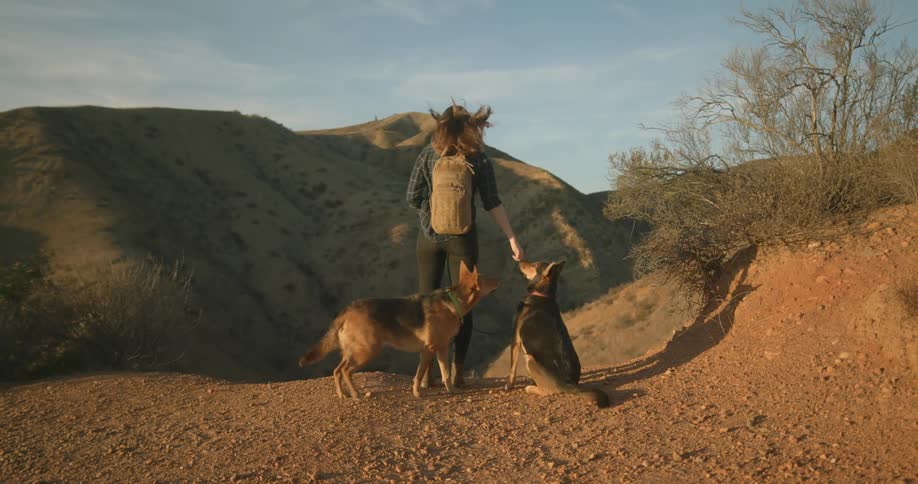 Woman with brown hair blue plaid shirt jeans and brown backpack gives food to dogs on hill