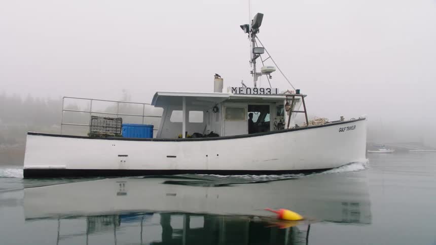 A person is driving a boat through a body of water