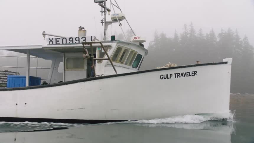 Fishing boat driving on a calm lake near a pine tree forest covered in mist