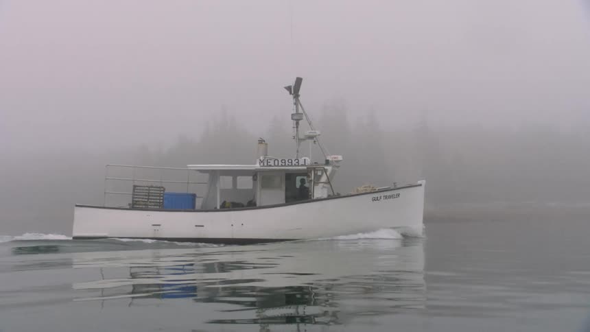 Fishing boat driving over the calm surface of a lake near the pine tree forest under the mist