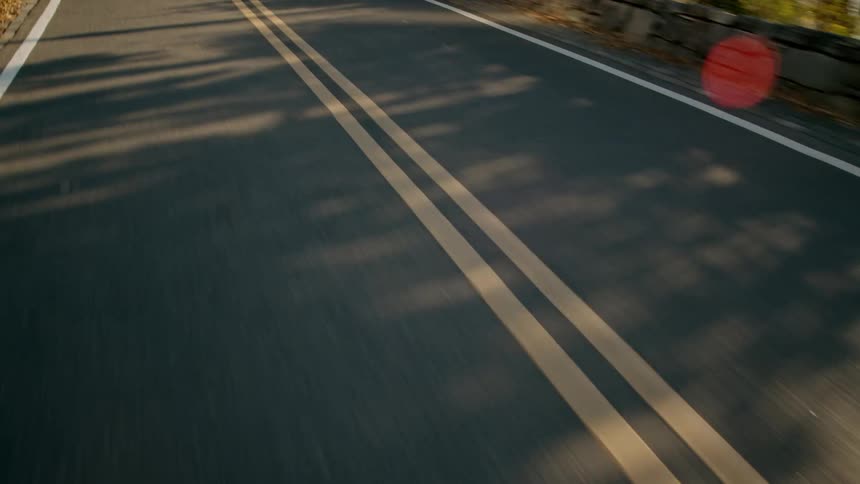 People run and ride bikes in the bike lane by the park