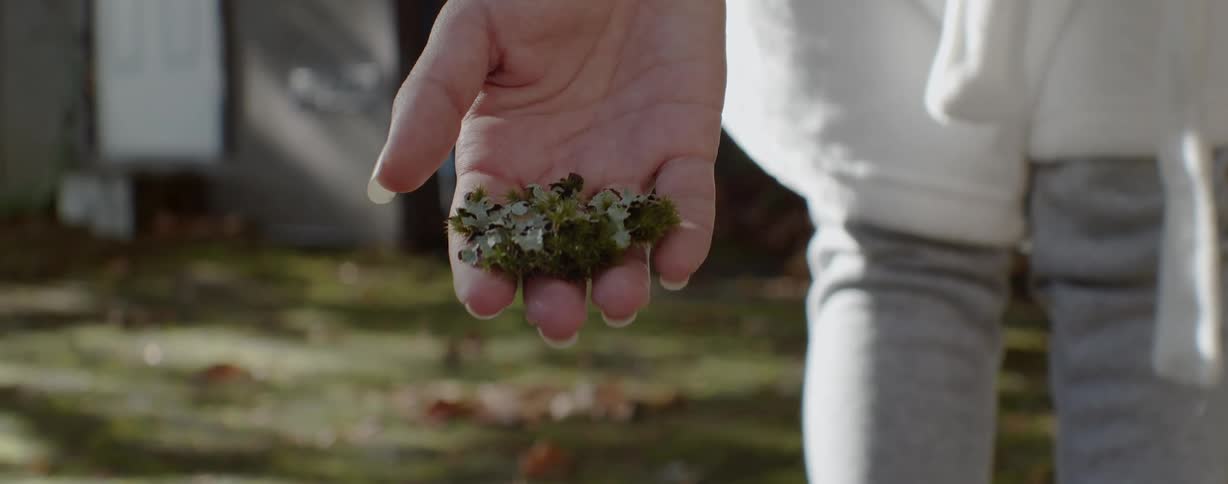 A person holding a plant in their hands