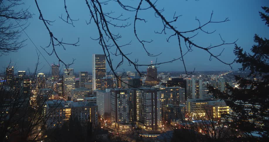 Trees and branches frame a view of a city skyline glowing at night