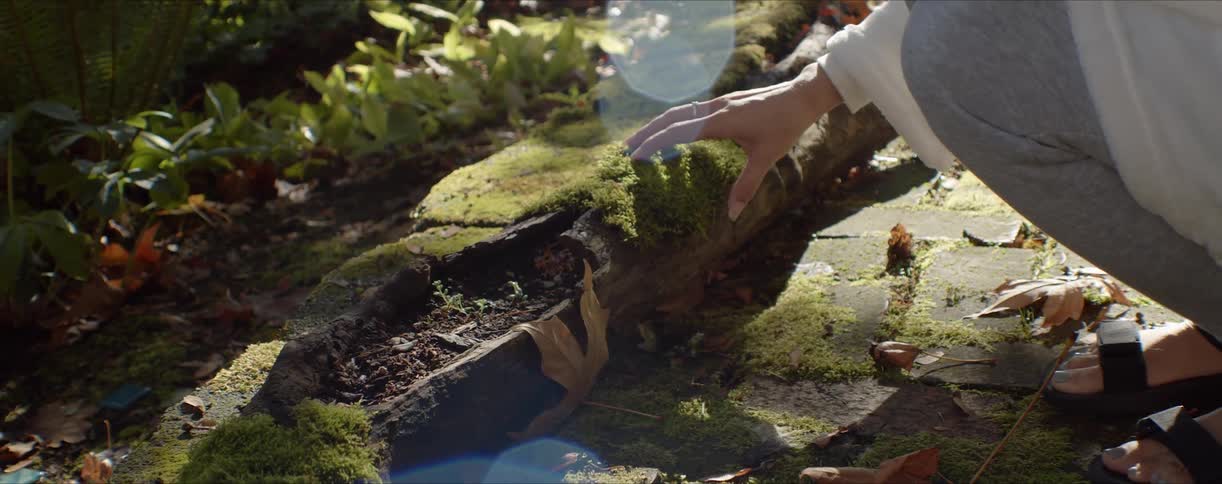 Woman kneeling in the garden picks up moss patches and lays them over a trunk in the ground