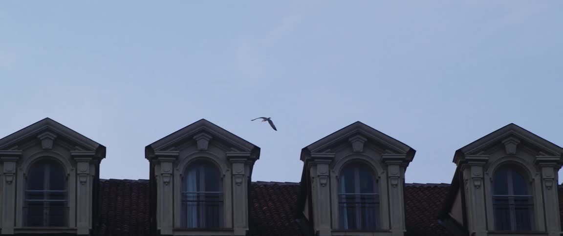 A large bird flies close to the roof of a building with protruding windows