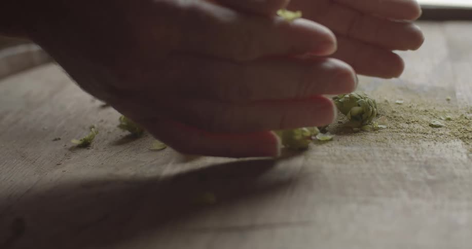 A person drops a handful of barley on the barrel