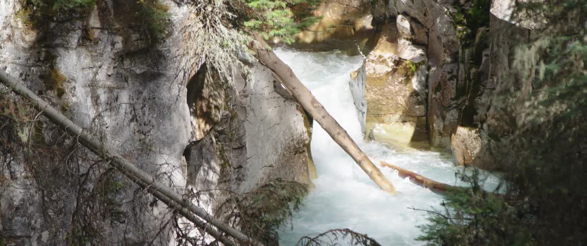 Tree logs laying in the course of a river rapids in the mountain