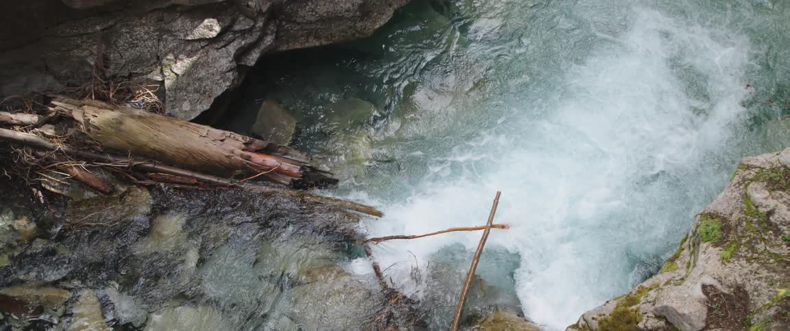 A river flows past a log and sticks to splash over a waterfall