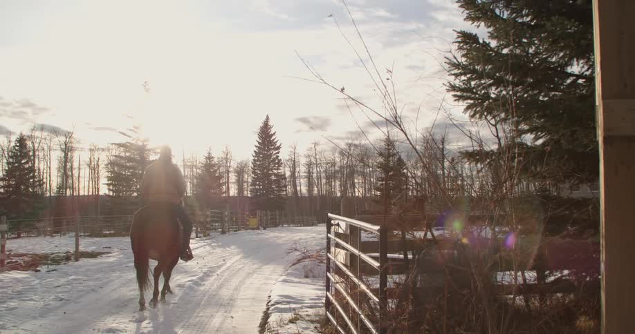 Man rides brown horse on snowy road at sunset