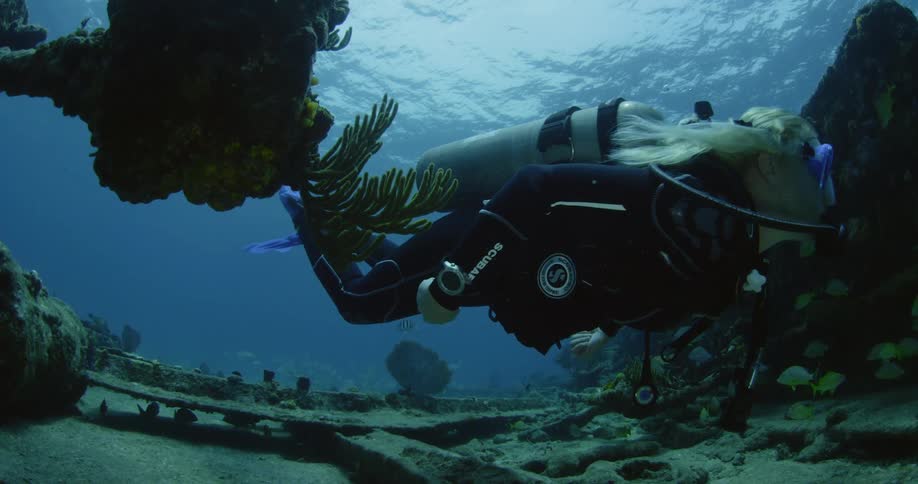 A person scuba dives past some seaweed on the ocean floor