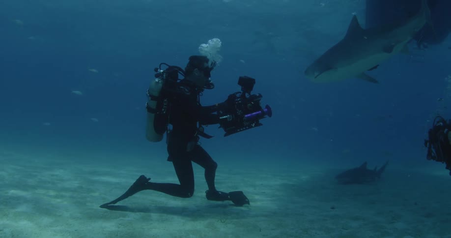 A scuba diver is filming a close up of a large shark underwater