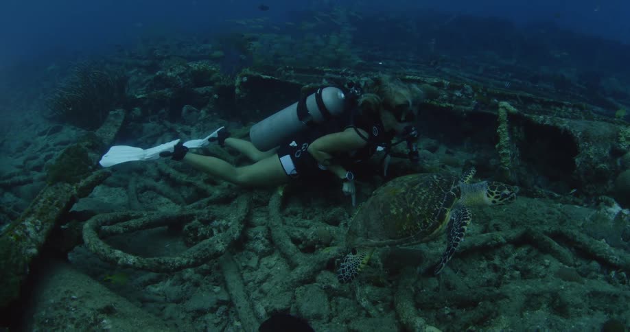 A scuba diver swims alongside a sea turtle