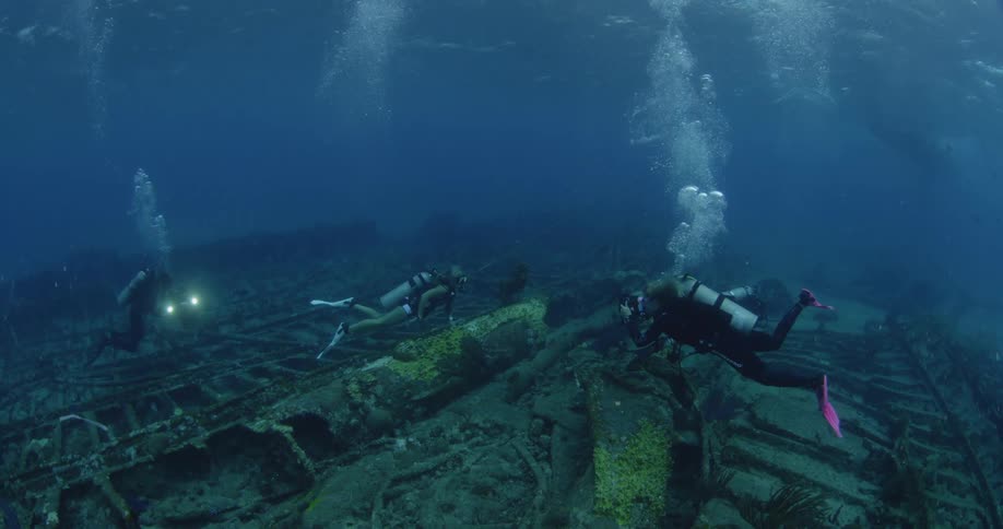 Scuba divers swim above a sunken ship