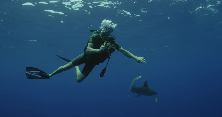 A scuba diver films in the ocean