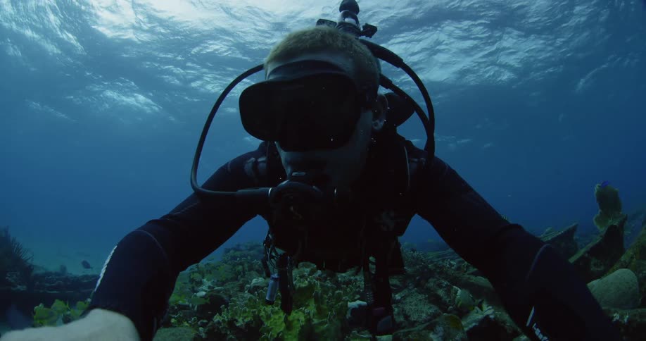 A diver swims along the ocean floor