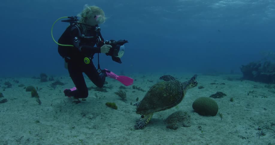 Diver photographing a turtle swimming in ocean water