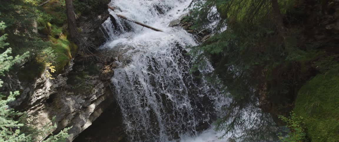 Slow motion shot of a waterfall on a river in the forest