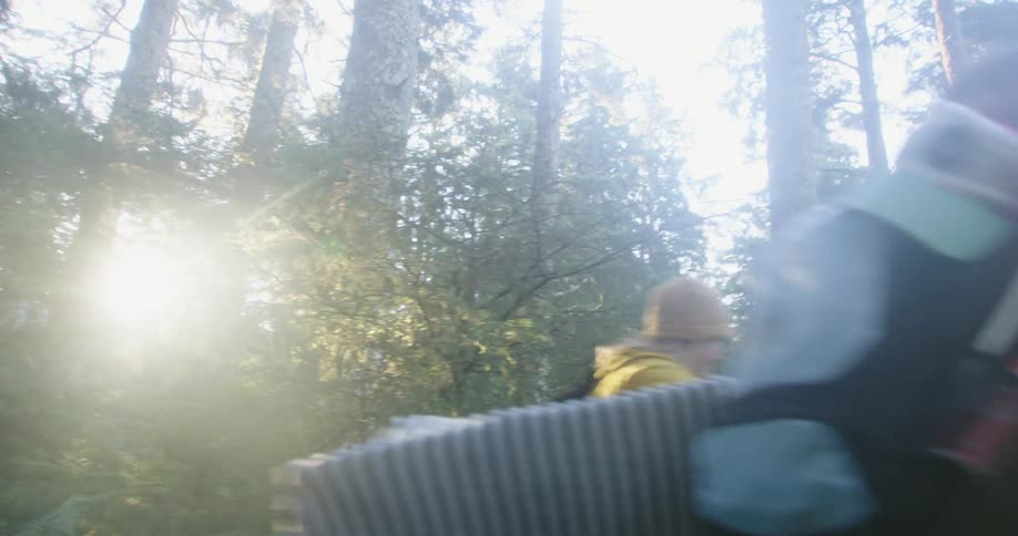A group of friends are hiking through a forest