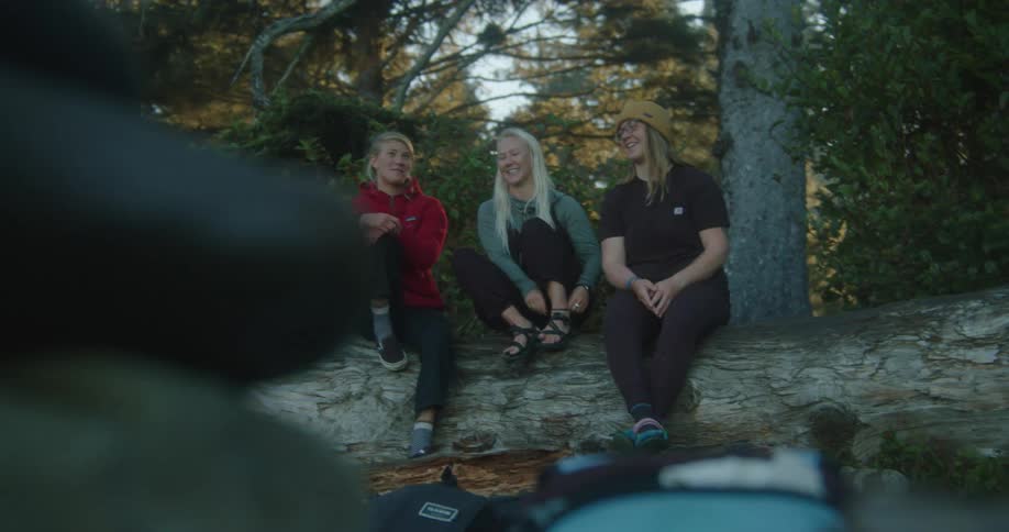 Friends talk to each other sitting over a log in the forest at morning