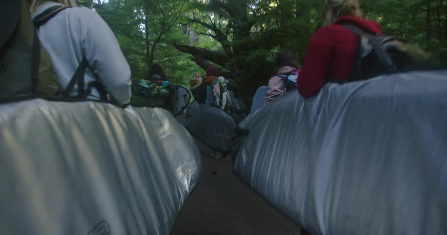 A group of surfers with backpacks carrying surfboards walks in the woods