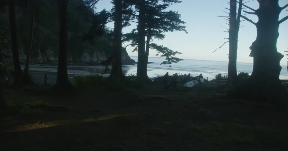 A group of surfers carry surfboards through the woods toward the shore