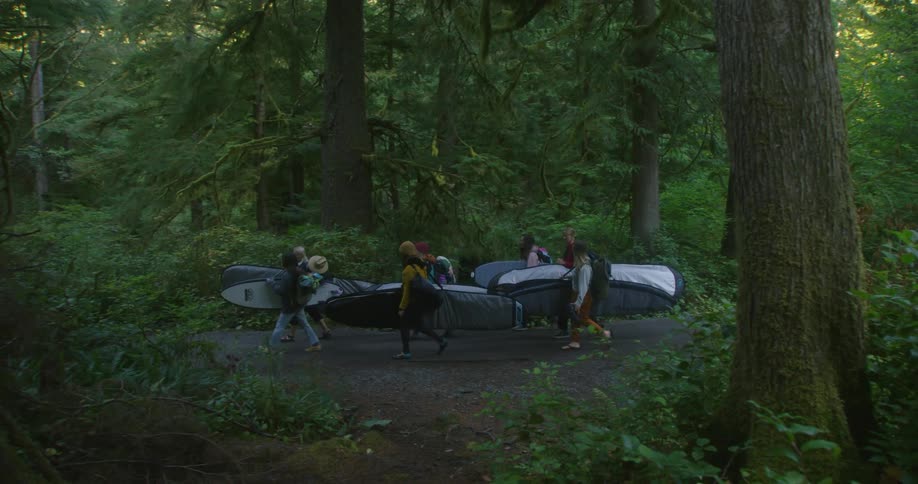 A group of people are walking through a forest together