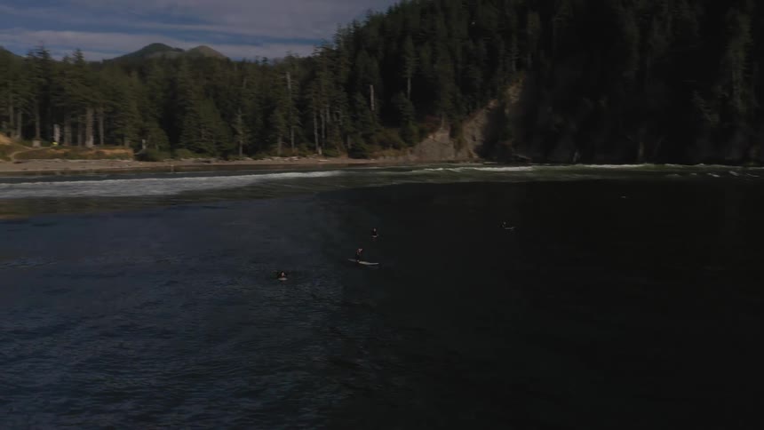 People on surfboards in the water