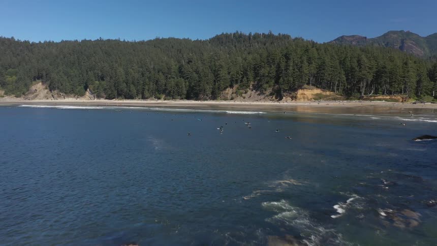 Surfers paddle out and sit on surfboards waiting for waves along a rocky and tree covered coast