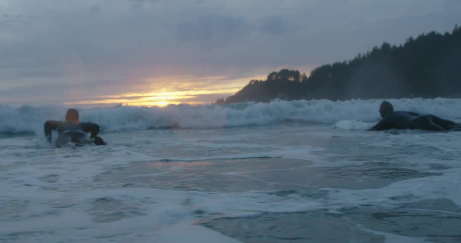 Two surfers paddling out through the waves away from a tree covered shore at sunrise