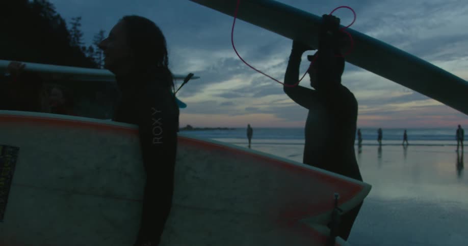 A group of people are at the coast with surfboards