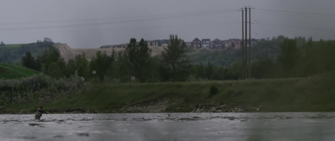 Birds fly around a river