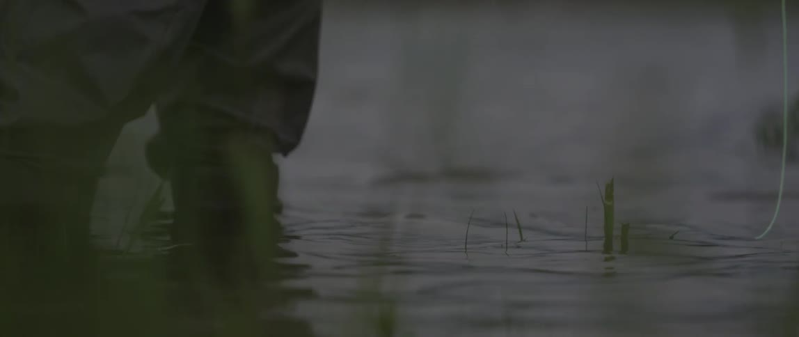 A person is standing knee deep in water