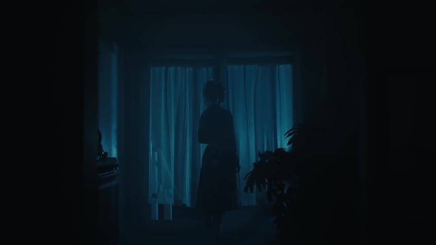 A woman stands in a dark room and looks out french doors at dusk