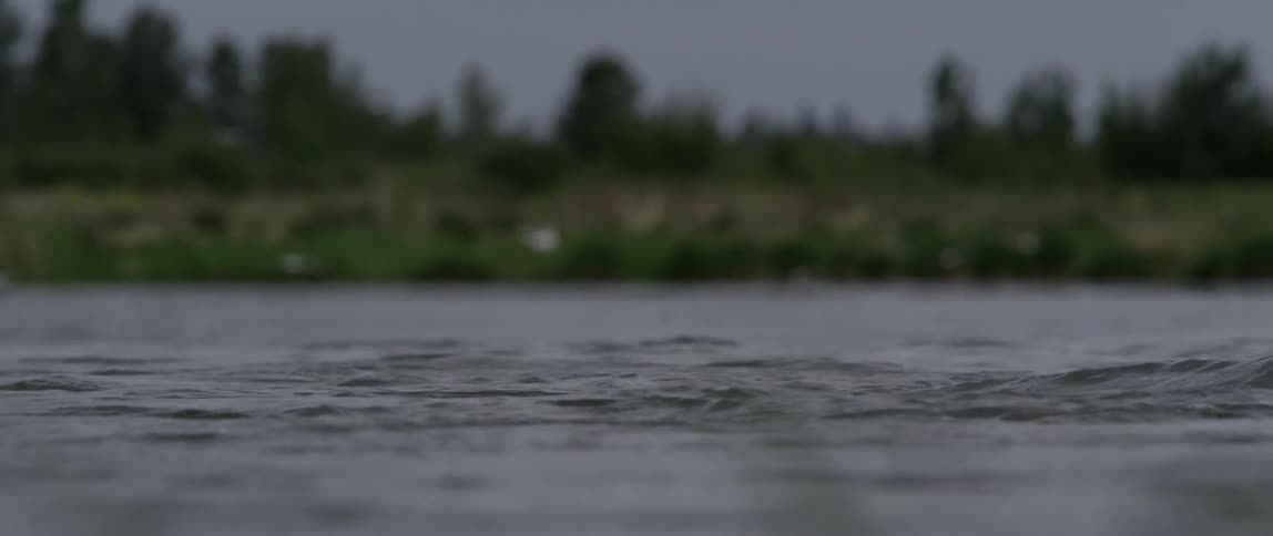 Birds fly over the water on a cloudy day